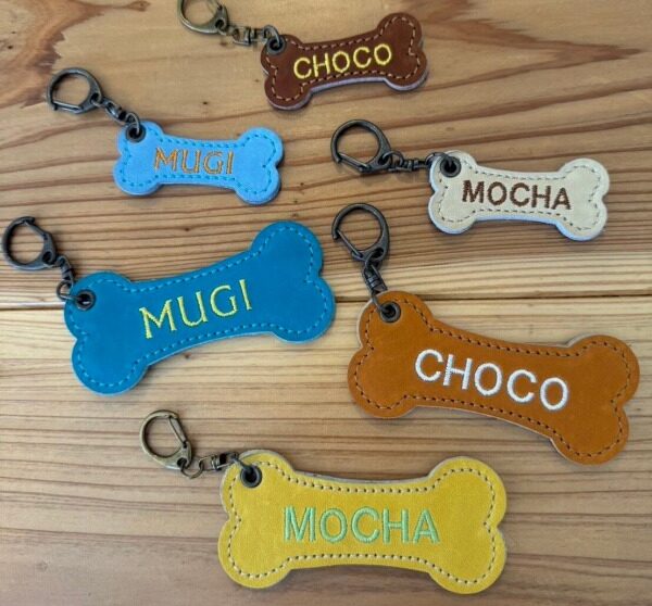 imgi_55_f1cde1ced30d1d70cbadb7842f954aac